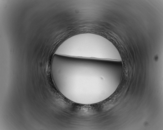 X0000100350420200806060804