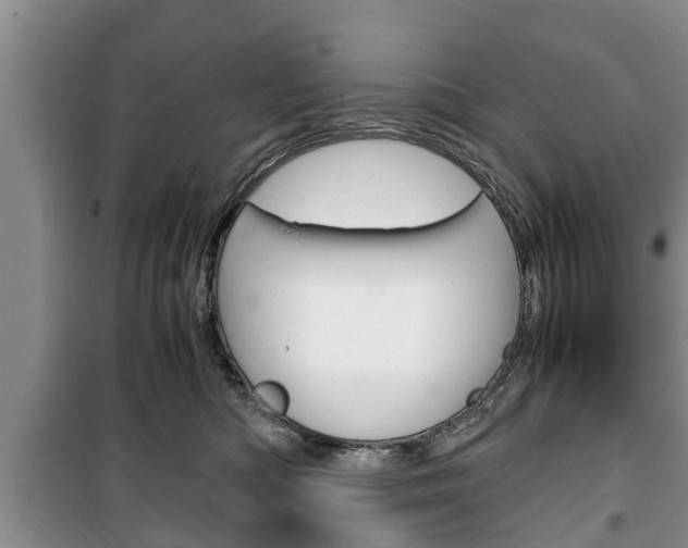 X0000100350422200806060804