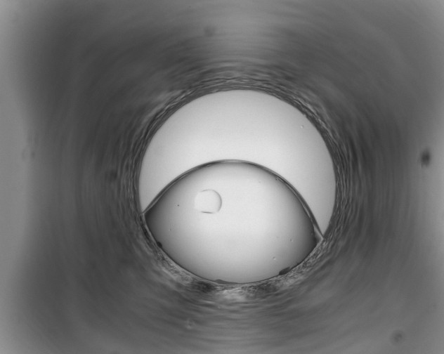 X0000100350423200806060804
