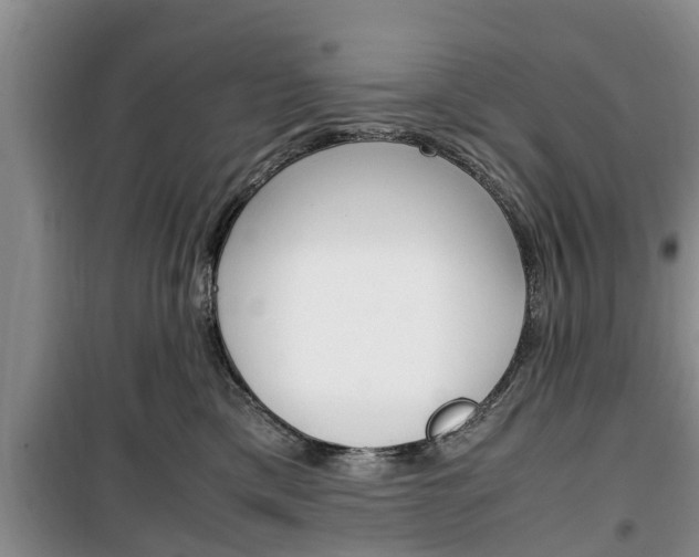 X0000100350425200806060804