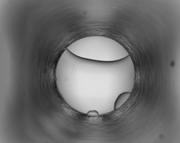 X0000100350426200806060804