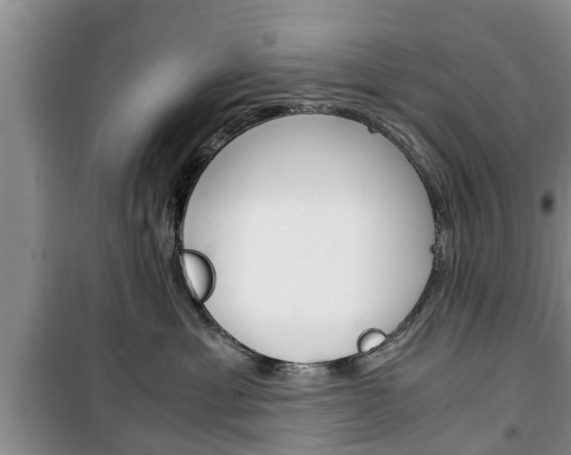 X0000100350429200806060804
