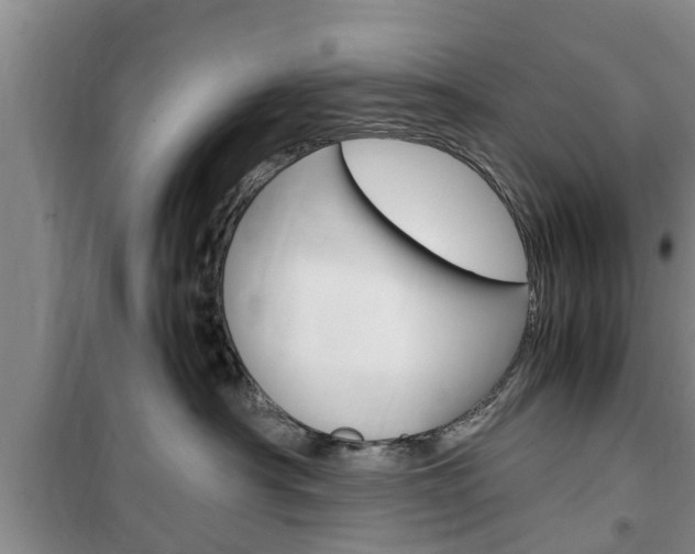 X0000100350430200806060804