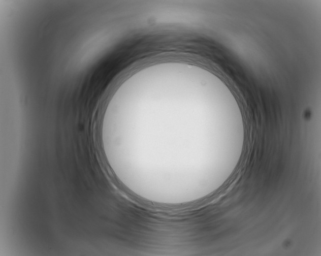 X0000100350431200806060804