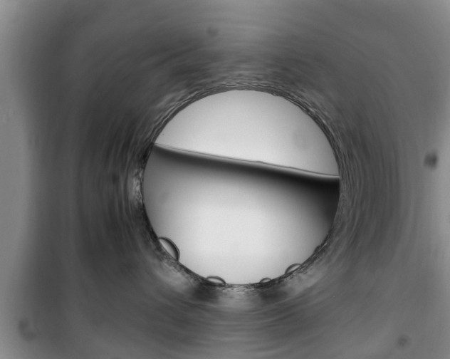 X0000100350432200806060804