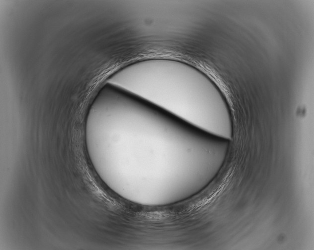 X0000100350433200806060804