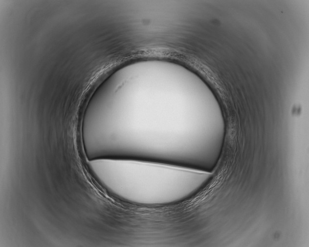 X0000100350434200806060804