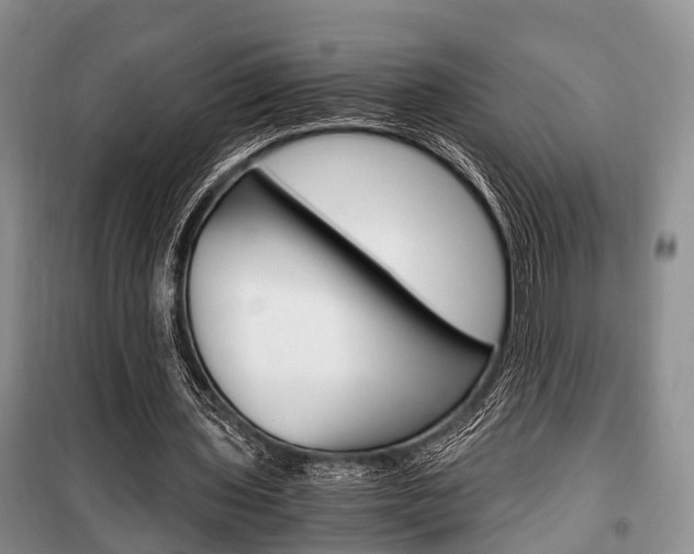X0000100350435200806060804