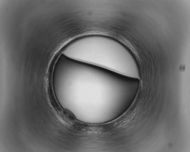 X0000100350436200806060804
