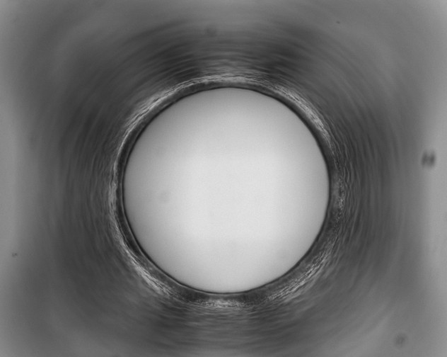 X0000100350437200806060804