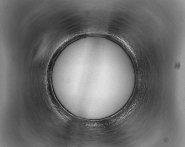 X0000100350439200806060804