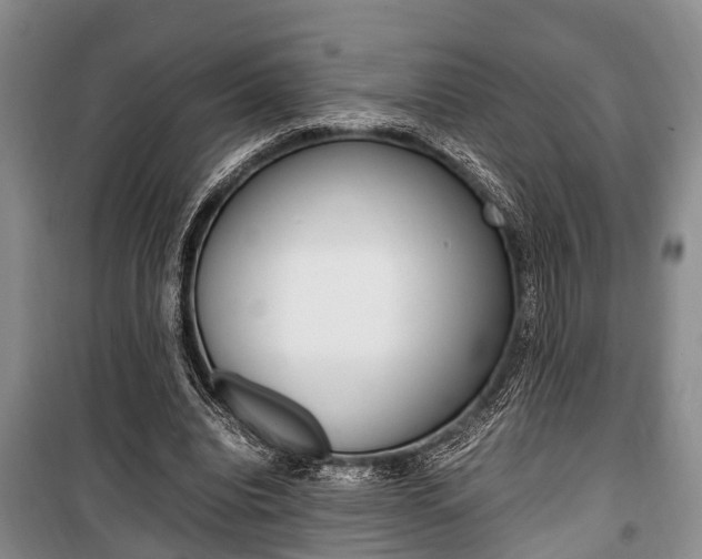 X0000100350440200806060804