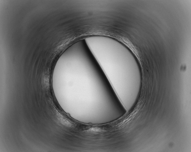 X0000100350441200806060804