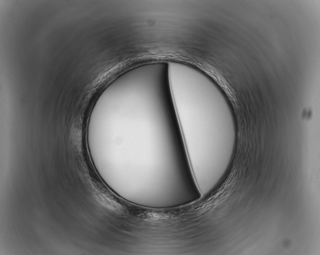 X0000100350442200806060804