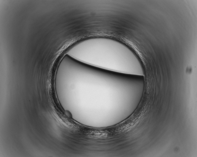 X0000100350443200806060804