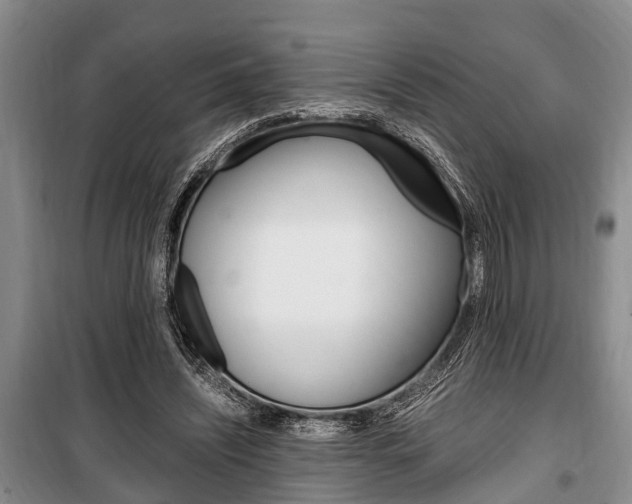 X0000100350444200806060804