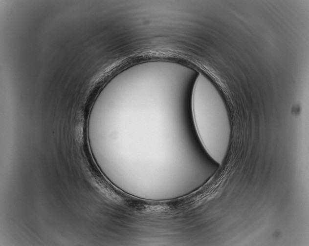 X0000100350446200806060804