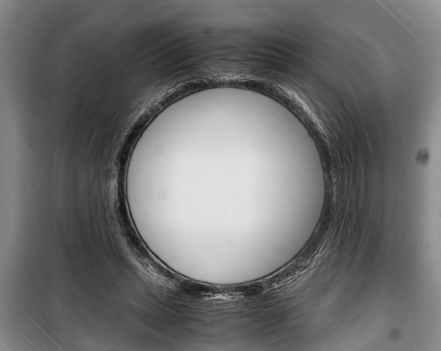 X0000100350447200806060804