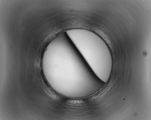 X0000100350449200806060804