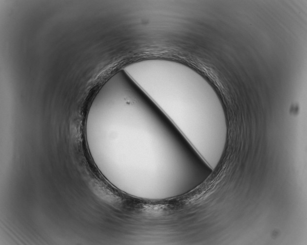 X0000100350450200806060804