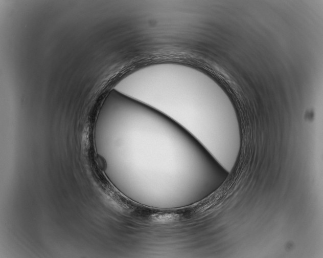 X0000100350452200806060804