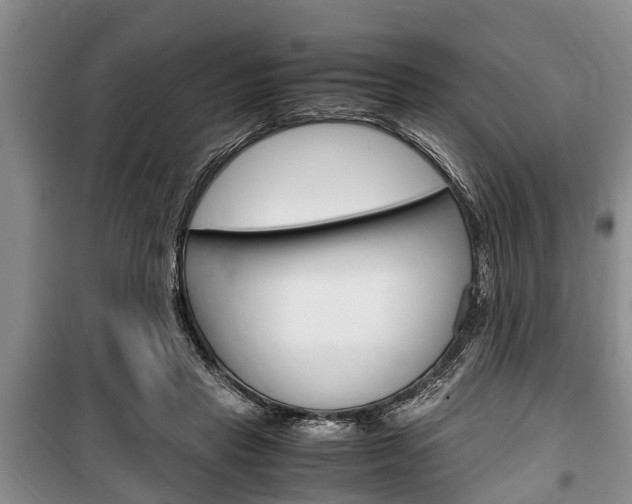 X0000100350453200806060804