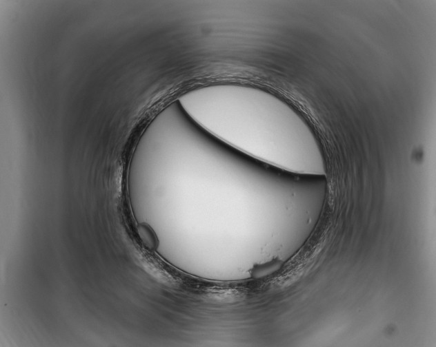 X0000100350454200806060804