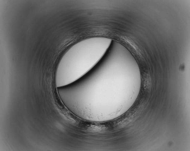 X0000100350455200806060804