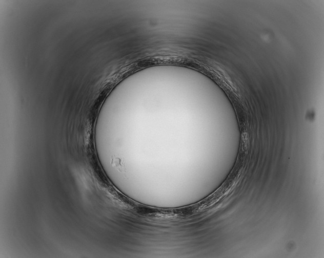 X0000100350458200806060804