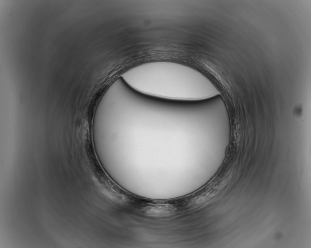 X0000100350459200806060804