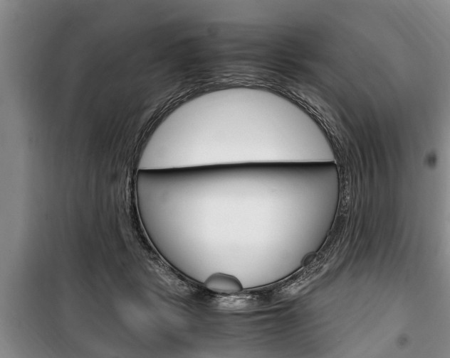 X0000100350461200806060804