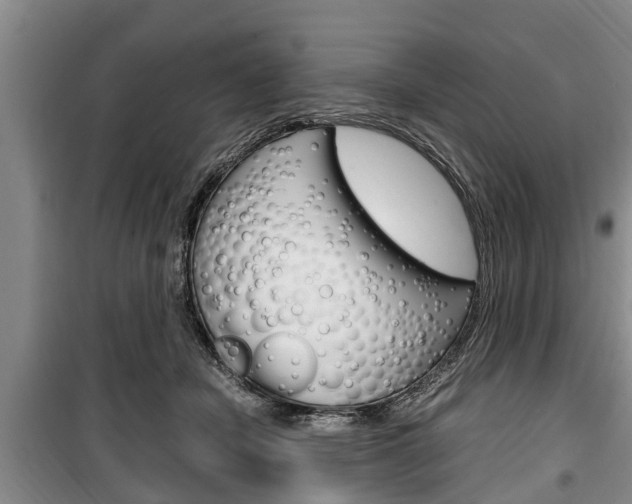 X0000100350462200806060804
