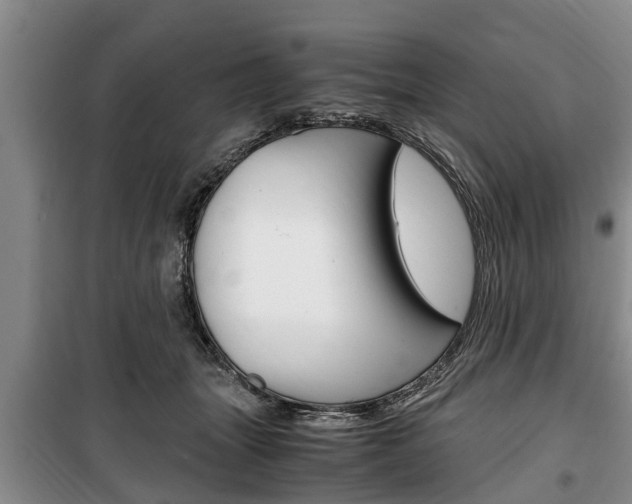 X0000100350463200806060804