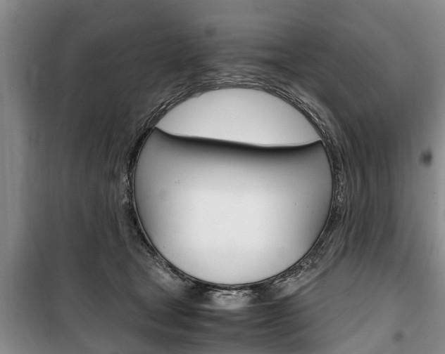 X0000100350465200806060804