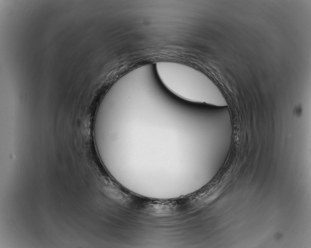 X0000100350466200806060804