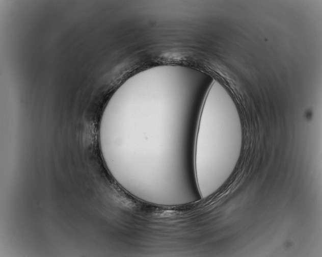 X0000100350467200806060804