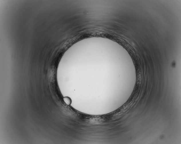 X0000100350468200806060804