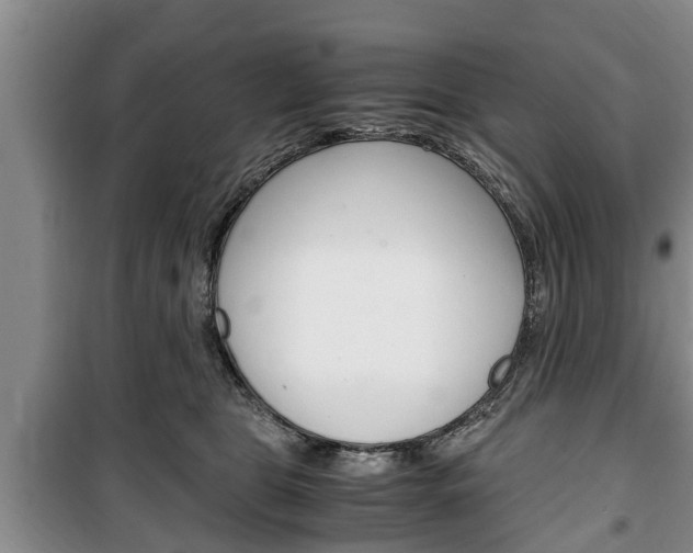 X0000100350469200806060804