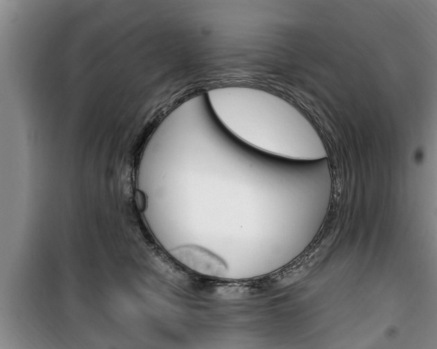 X0000100350470200806060804