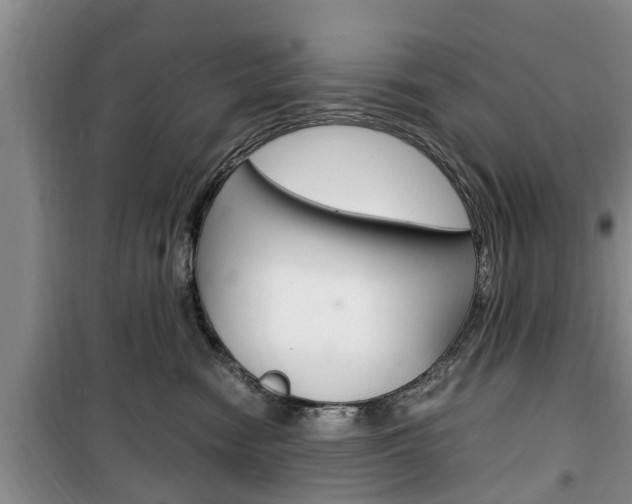 X0000100350474200806060804