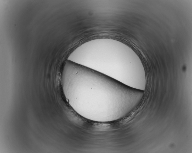 X0000100350476200806060804