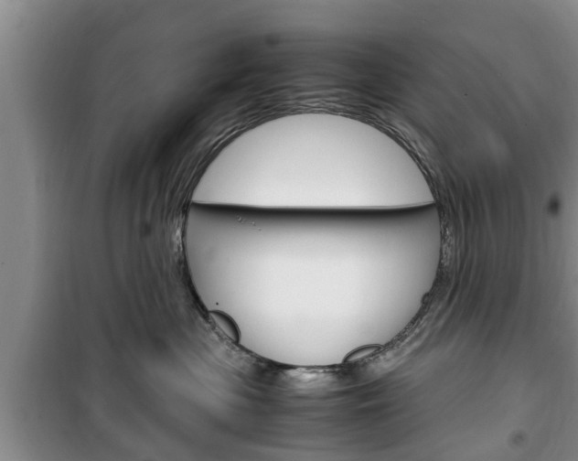 X0000100350477200806060804