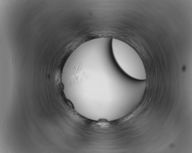 X0000100350478200806060804