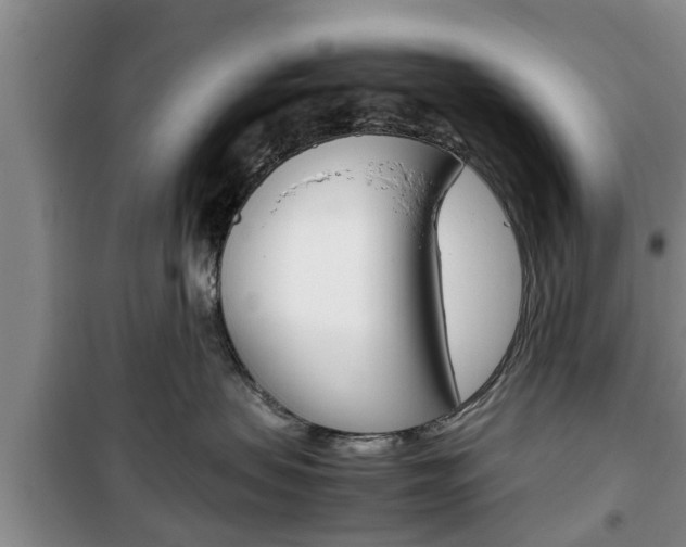 X0000100350479200806060804