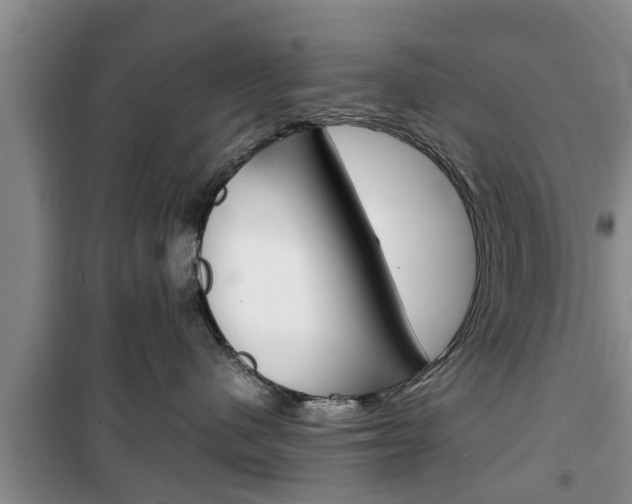 X0000100350480200806060804