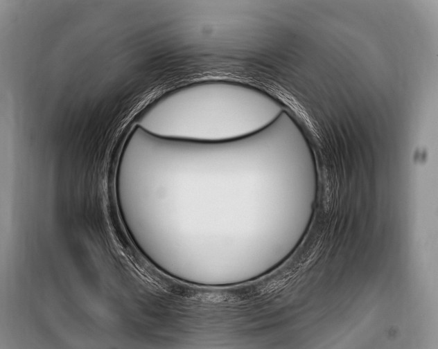X0000100350482200806060804