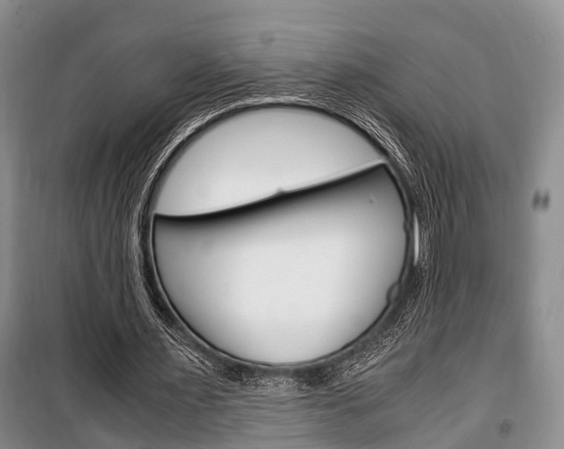 X0000100350483200806060804