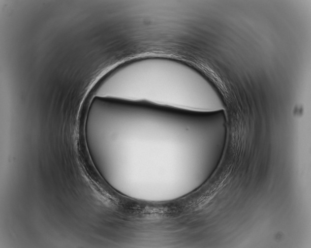 X0000100350484200806060804