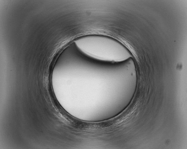 X0000100350485200806060804