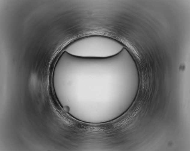 X0000100350486200806060804